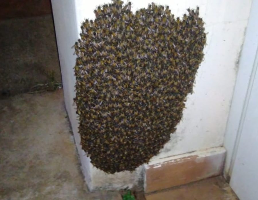 f4a5611c-af63-4989-8f1b-ef5bac01787d