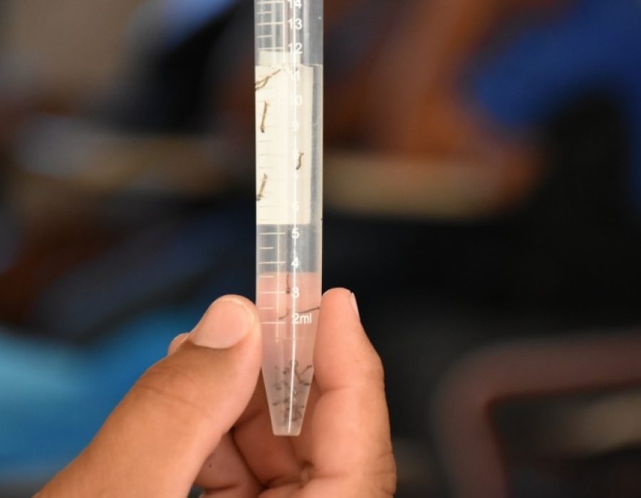 f4e51a3a51f2cb4e963b5663e6fc75ca