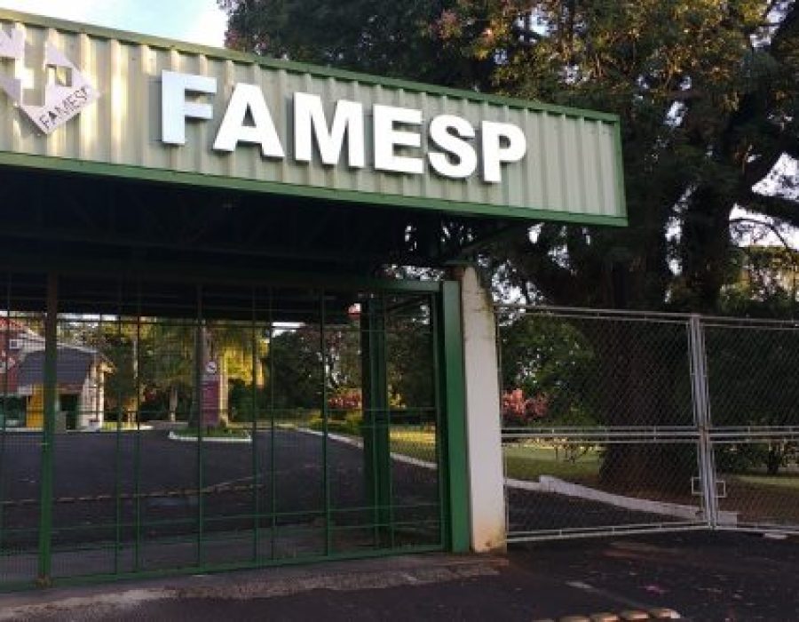 famesp-620x330