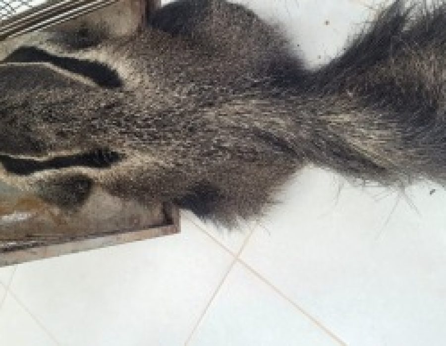 feffe924-59f4-4c79-954c-11f9a73d7ece-360x194