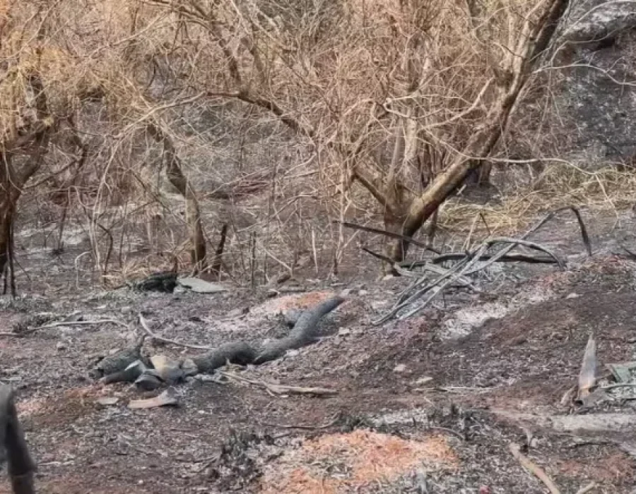 fogo-fazenda-edgardia-091024