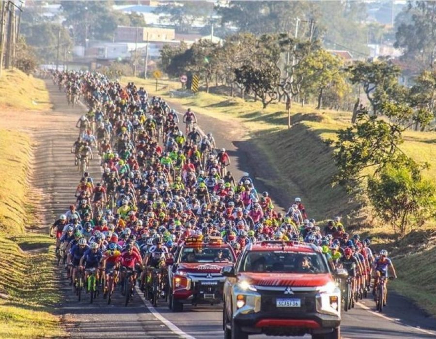 foto-Danilo-Massari-768x510