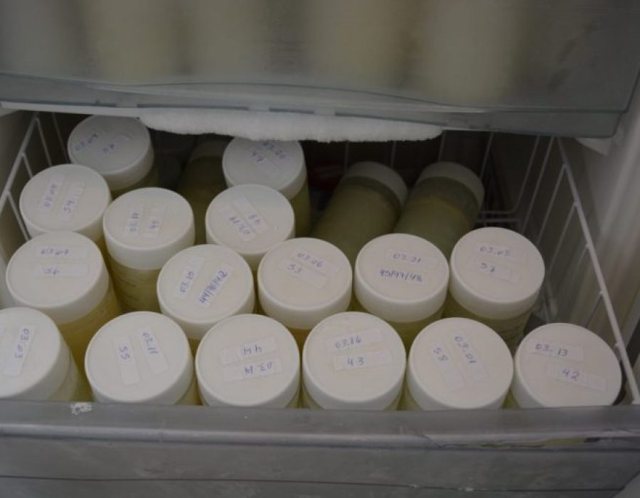 frascos-banco-de-leite-768x512