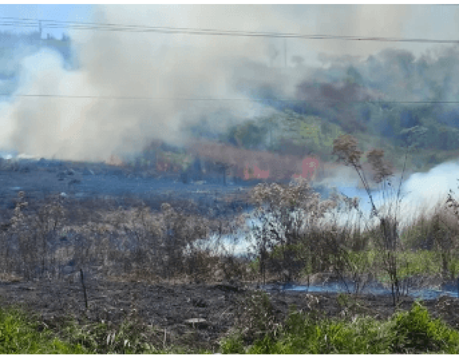incendio-area-verde-limeira-130923