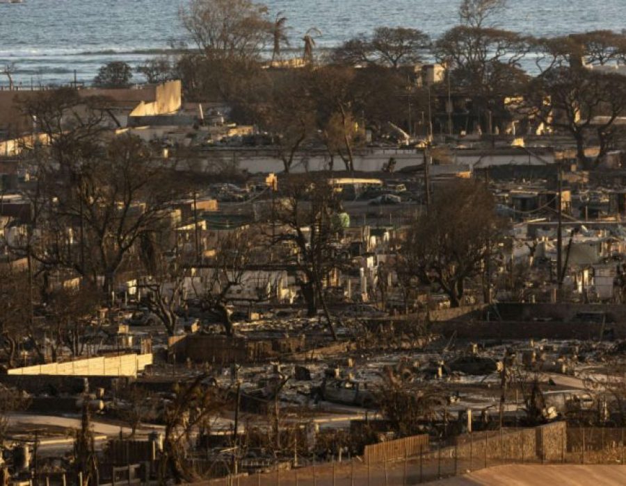 incendio-casas-havai-140823-1-768x512