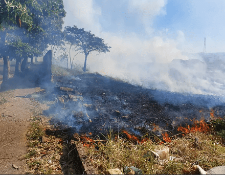 incendio-queimada-marilia-110623