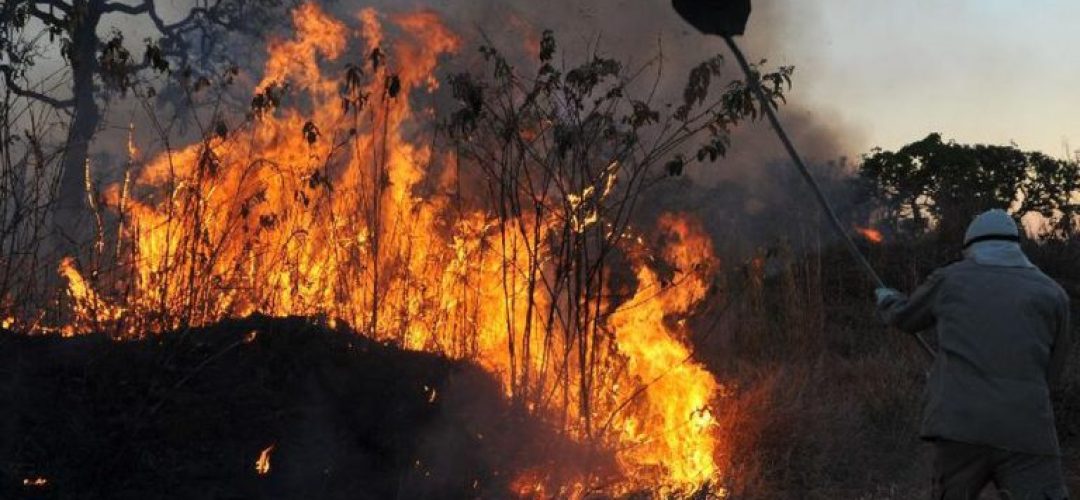 incendios-florestais-130323-768x459 (1)