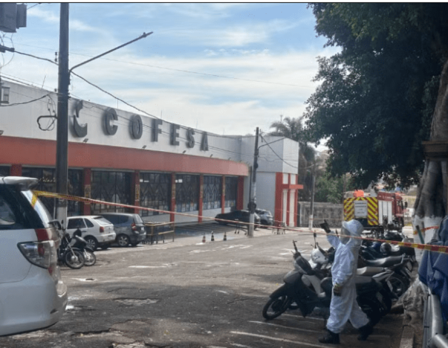 Ataque de abelhas interditou a Avenida Peixoto Gomide em Itapetininga (Foto: Pâmela Ramos / TV TEM)