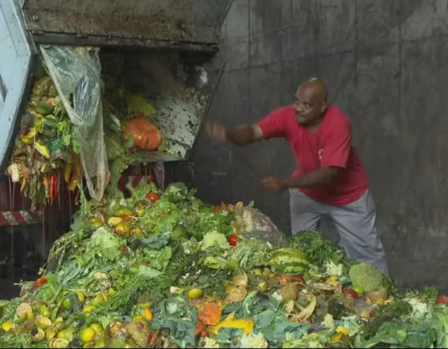 lixo-alimentos-caminhao-101224