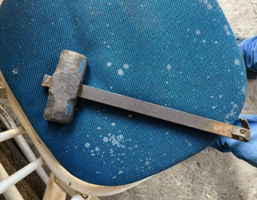 marreta-cadela-marilia-250423