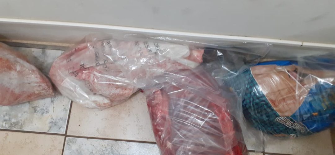motorista-abandona-veiculo-e-pm-ambiental-localiza-carne-que-seria-de-caca-carne-caca