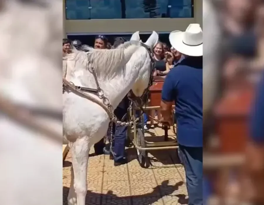 mula-velorio-avare-100325