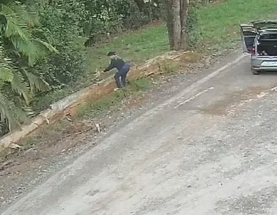 mulher-abandona-filhotes-itapetininga-150724