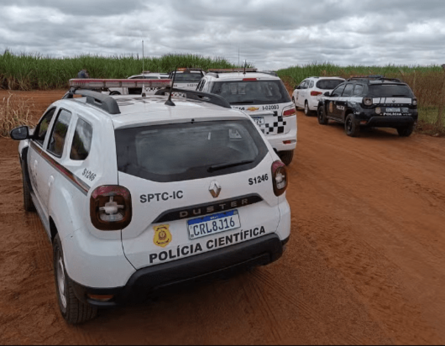 mulher-canavial-aracatuba-060224