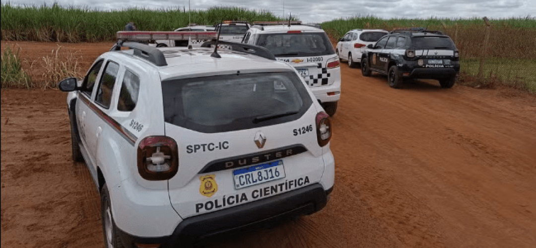 mulher-canavial-aracatuba-060224