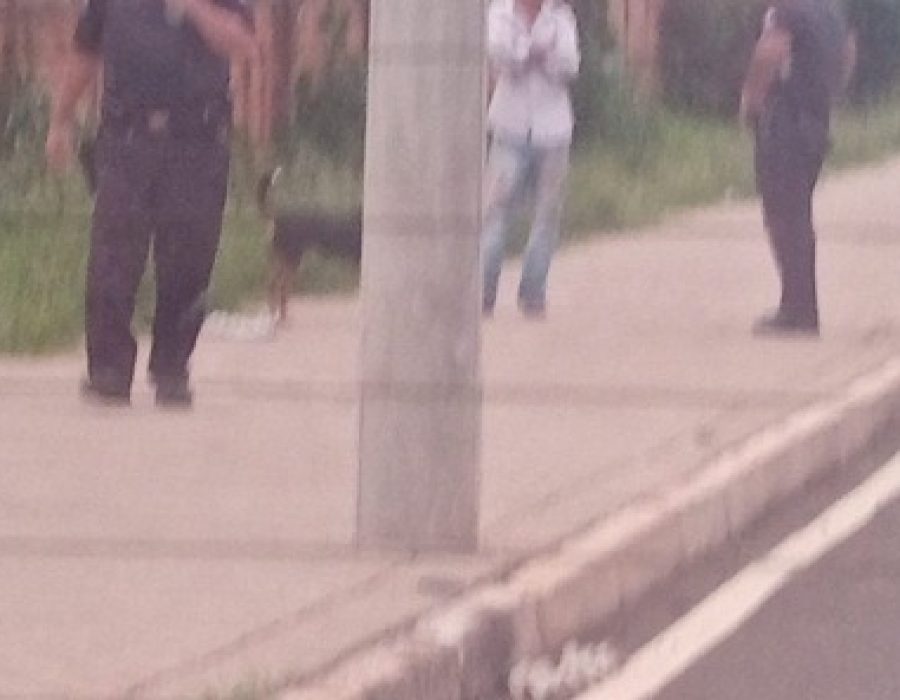 mulher-denuncia-abuso-sexual-contra-cachorro-em-botucatu-cahorro-abuso