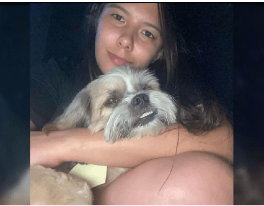 mulher-e-cachorro-mortos-atropelados-bauru-020223