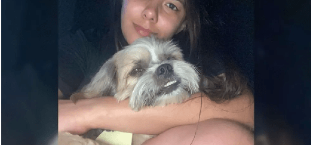 mulher-e-cachorro-mortos-atropelados-bauru-020223