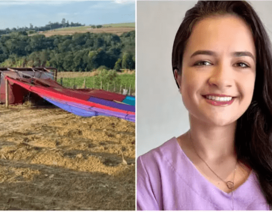 (Foto: Letícia Paris/TV Tem e reprodução redes sociais)