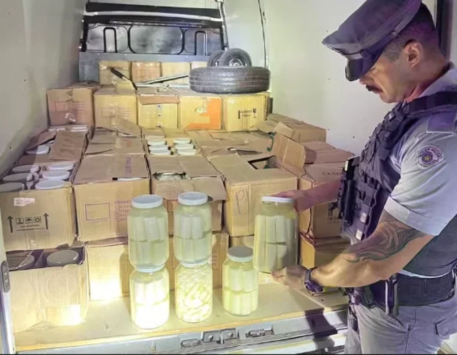 palmito-jucara-preso-260724