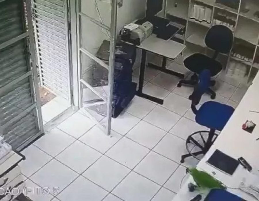 papagaio-farmacia-marilia-040422