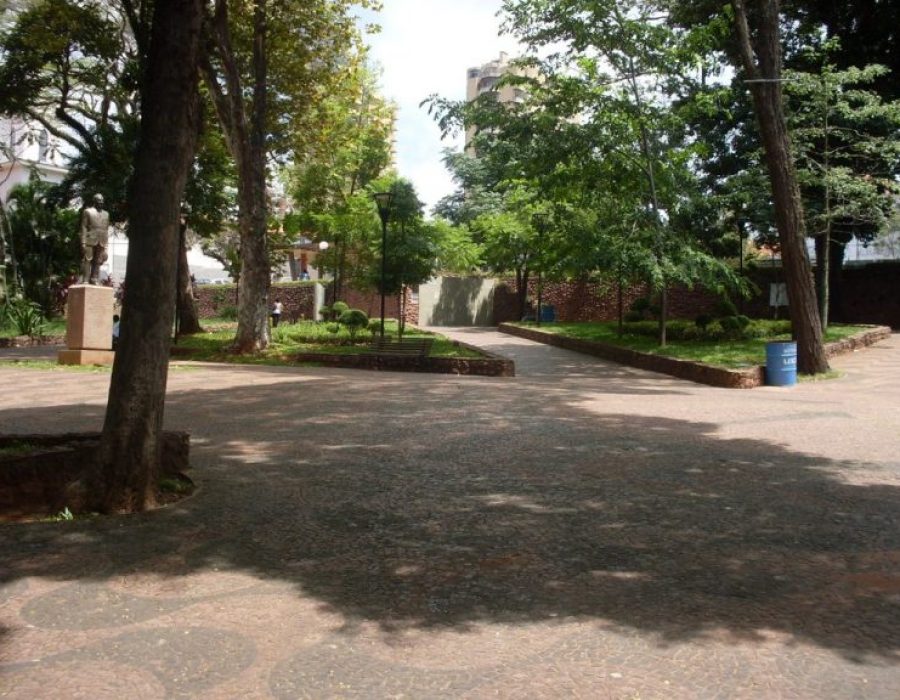 praca-do-bosque-768x576