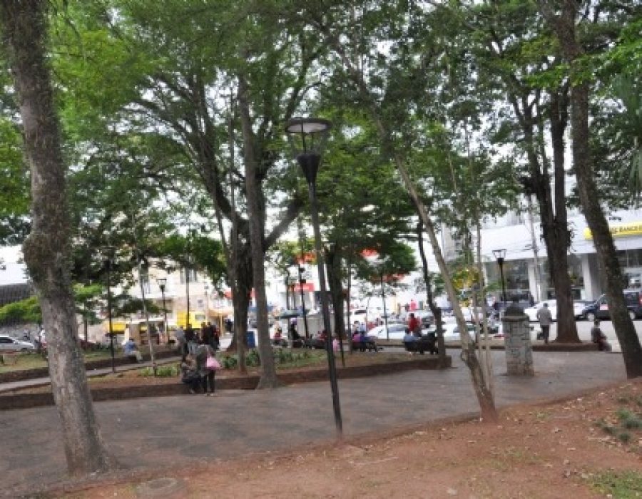 praca-do-bosque-btu-1-250517