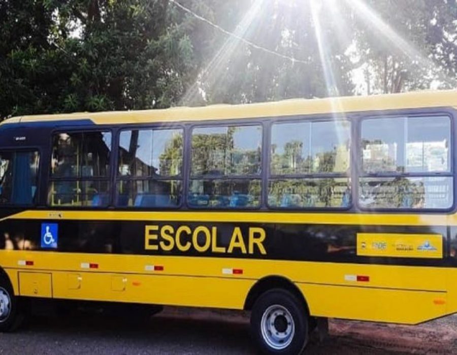 transporte-escolar-768x484