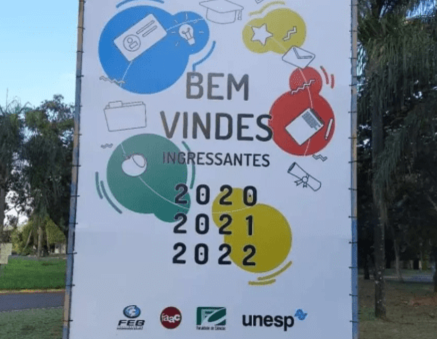 unesp bauru