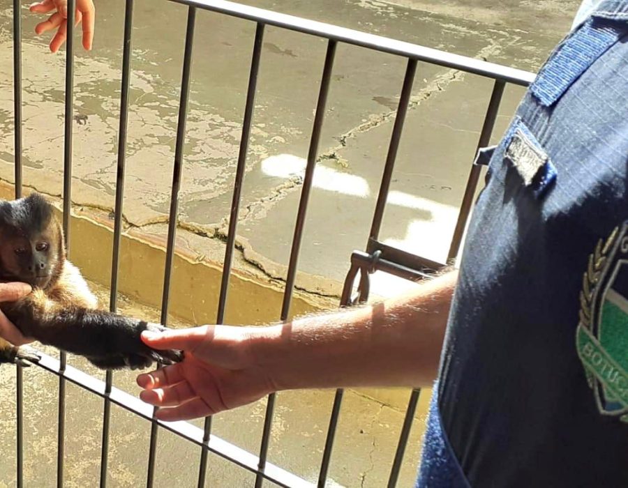 whatsapp-image-2020-06-23-at-8-31-42-pm