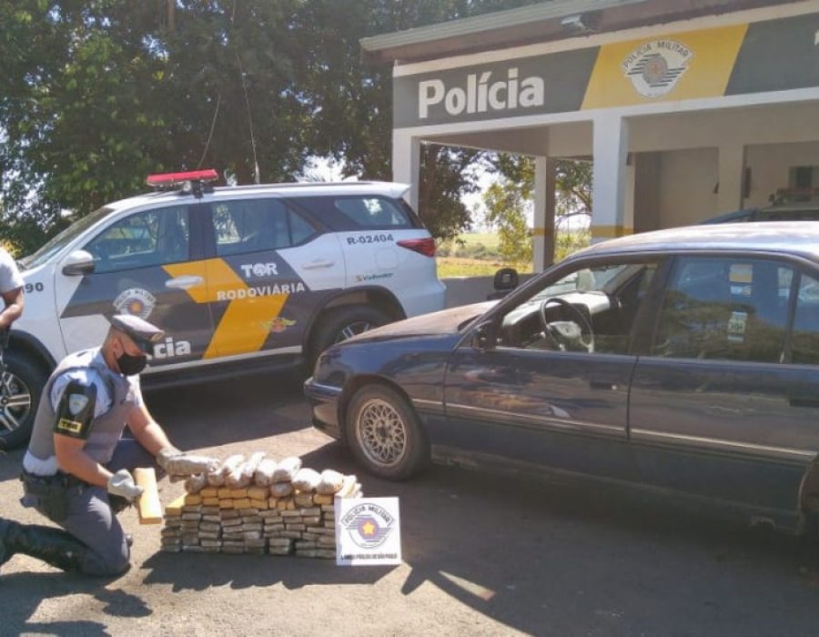 whatsapp-image-2020-08-06-at-18-46-55