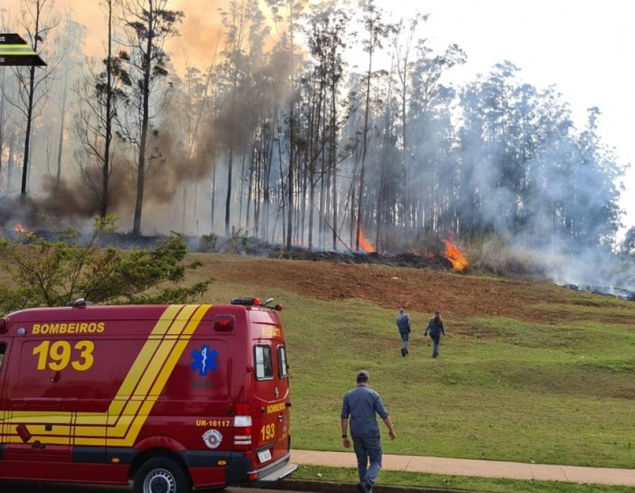 whatsapp-image-2021-09-14-at-09.42.30-1-