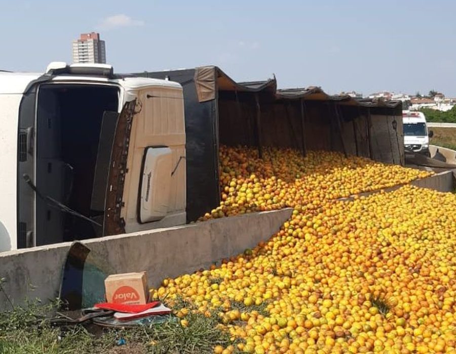 whatsapp-image-2021-09-19-at-18.44.28