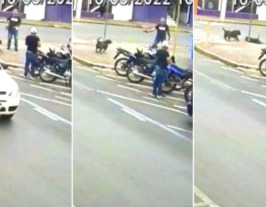 whatsapp-image-2022-03-16-at-13.18.19