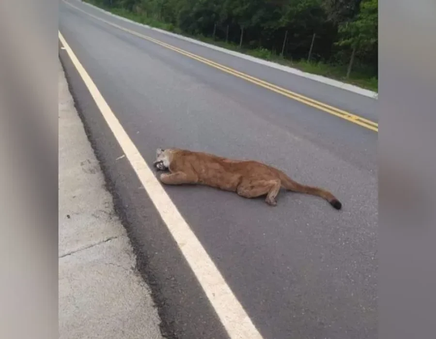 whatsapp-image-2023-01-24-at-08.34.31