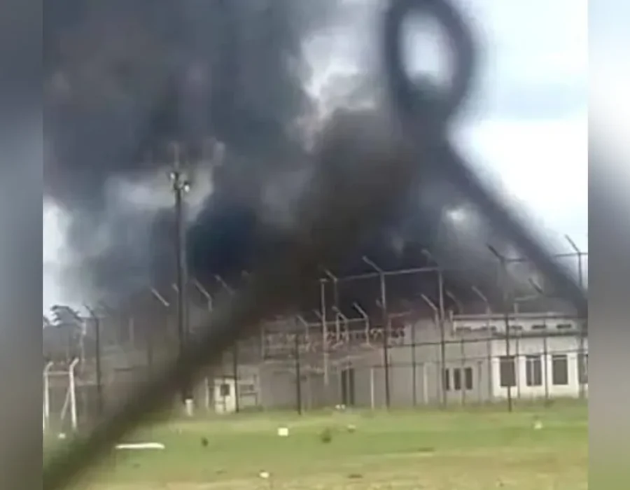 whatsapp-image-2023-01-30-at-10.33.06-1-