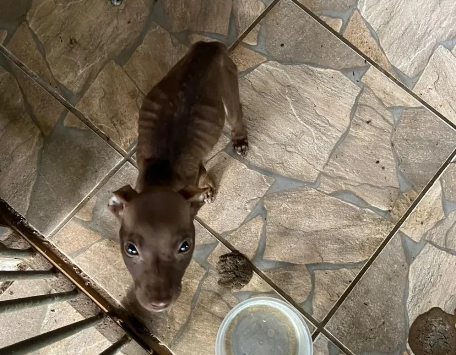 whatsapp-image-2023-02-02-at-12.37.33