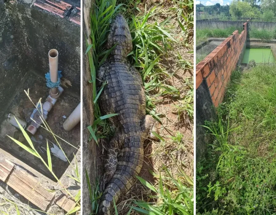 whatsapp-image-2023-03-03-at-17.43.44-1-